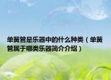 单簧管是乐器中的什么种类（单簧管属于哪类乐器简介介绍）