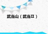 武当山（武当Ⅱ）