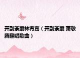 开到荼蘼林宥嘉（开到荼蘼 萧敬腾翻唱歌曲）