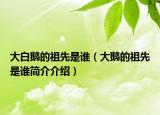 大白鹅的祖先是谁（大鹅的祖先是谁简介介绍）