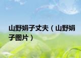 山野娟子丈夫（山野娟子图片）