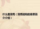 什么是薄壳（薄壳结构的意思简介介绍）
