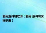 爱我游鸿明歌词（爱我 游鸿明演唱歌曲）