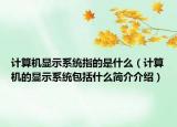 计算机显示系统指的是什么（计算机的显示系统包括什么简介介绍）