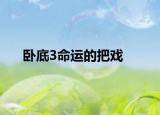 卧底3命运的把戏