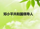 邓小平共和国领导人