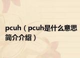 pcuh（pcuh是什么意思简介介绍）