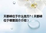 天都峰位于什么地方?（天都峰位于哪里简介介绍）
