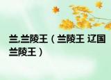 兰,兰陵王（兰陵王 辽国兰陵王）