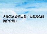大象怎么介绍大象（大象怎么叫简介介绍）
