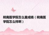 皖南医学院怎么查成绩（皖南医学院怎么样啊）