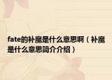 fate的补魔是什么意思啊（补魔是什么意思简介介绍）