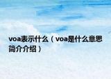 voa表示什么（voa是什么意思简介介绍）