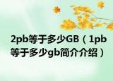 2pb等于多少GB（1pb等于多少gb简介介绍）