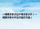 一吨等于多少公斤等于多少斤（一吨等于多少斤公斤简介介绍）