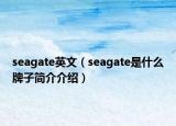 seagate英文（seagate是什么牌子简介介绍）