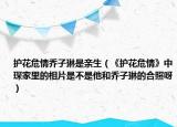 护花危情乔子琳是亲生（《护花危情》中琛家里的相片是不是他和乔子琳的合照呀）