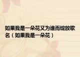 如果我是一朵花又为谁而绽放歌名（如果我是一朵花）