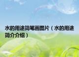 水的用途简笔画图片（水的用途简介介绍）