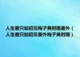 人生若只如初见梅子黄时雨番外（人生若只如初见番外梅子黄时雨）