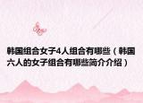 韩国组合女子4人组合有哪些（韩国六人的女子组合有哪些简介介绍）