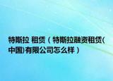 特斯拉 租赁（特斯拉融资租赁(中国)有限公司怎么样）