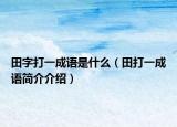 田字打一成语是什么（田打一成语简介介绍）