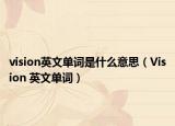 vision英文单词是什么意思（Vision 英文单词）