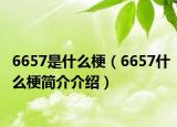 6657是什么梗（6657什么梗简介介绍）
