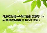 电源适配器usb接口是什么意思（usb电源适配器是什么简介介绍）