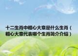 十二生肖中粗心大意是什么生肖（粗心大意代表哪个生肖简介介绍）