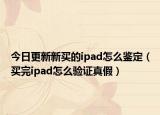 今日更新新买的ipad怎么鉴定（买完ipad怎么验证真假）