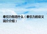 牵引力包括什么（牵引力的定义简介介绍）