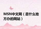 MSN中文网（是什么地方办的网站）