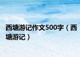 西塘游记作文500字（西塘游记）