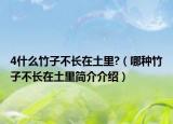 4什么竹子不长在土里?（哪种竹子不长在土里简介介绍）