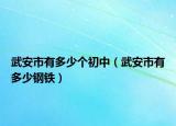 武安市有多少个初中（武安市有多少钢铁）