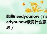 歌曲needyounow（needyounow歌词什么意思）