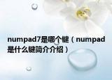 numpad7是哪个键（numpad是什么键简介介绍）