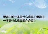 柔道中的一本是什么意思（柔道中一本是什么意思简介介绍）