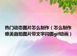 热门动态图片怎么制作（怎么制作唯美自拍图片带文字闪图gif动画）