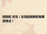 棕树蛇 关岛（关岛的棕树蛇有哪些特点）
