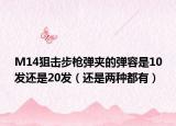 M14狙击步枪弹夹的弹容是10发还是20发（还是两种都有）
