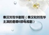 秦汉刘雪华剧照（秦汉和刘雪华主演的是哪6部电视剧）
