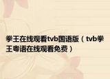 拳王在线观看tvb国语版（tvb拳王粤语在线观看免费）