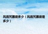 风雨咒票房多少（风雨咒票房是多少）