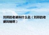 刘邦的老婆叫什么名（刘邦的老婆叫啥啊）