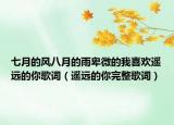 七月的风八月的雨卑微的我喜欢遥远的你歌词（遥远的你完整歌词）