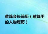黄峰会长简历（黄峰平的人物履历）