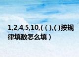 1,2,4,5,10,(（),( )按规律填数怎么填）
